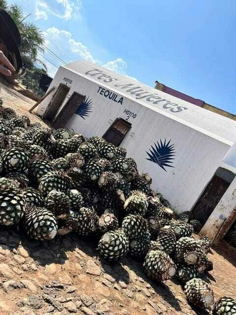 Destino Tequila: Experiencia Premier Privada - Who Will Love This Tour?
