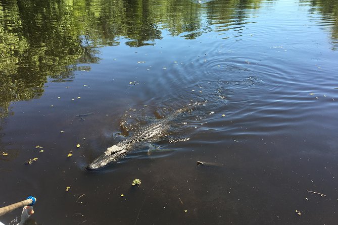 Destrehan Plantation & Small Airboat Tours - Destrehan Plantation Highlights
