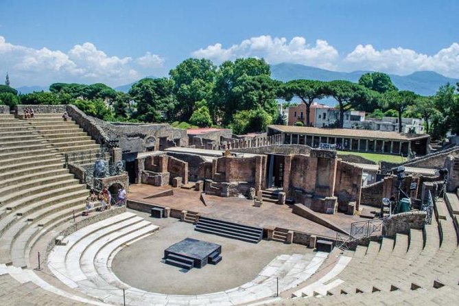 Destruction, Death and Rebirth of Pompeii, Private Visit in the Afternoon. - Reviews