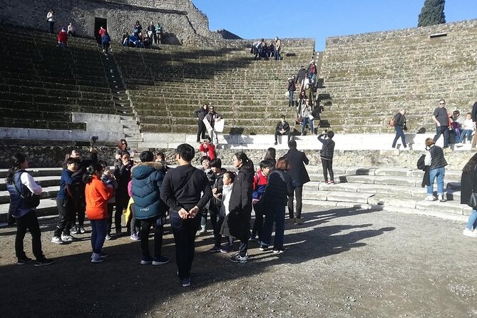 Destruction, Death and Rebirth of Pompeii, Private Visit in the Afternoon. - Highlights of the Tour
