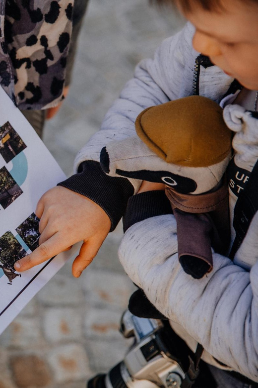 Detective Trail Innsbruck: 2.5 Hours of Puzzle Fun for Families - Pricing and Booking