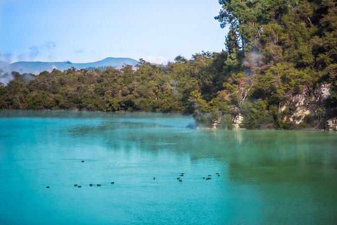 Devils Bath Experience - Private Tour to Wai-O-Tapu & Lake Taupo - Photography Opportunities