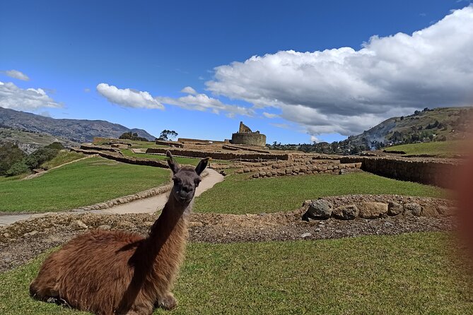Devil'S Nose Hiking and Ingapirca Ruins From Cuenca - Ingapirca Ruins Exploration