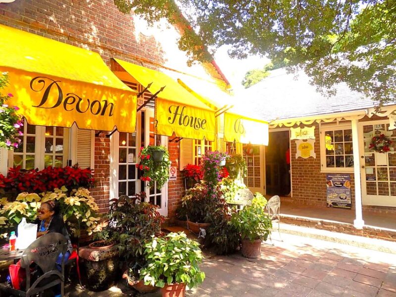 Devon House Heritage Tour With Ice Cream From Kingston - Historical Significance