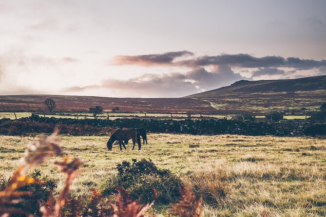 Devon Tour App, Hidden Gems Game and Big Britain Quiz (7 Day Pass) UK - Pricing and Reservation Details