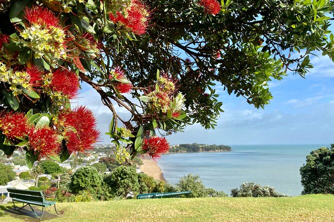 Devonport Explorer Tour Volcanoes, Heritage and Cultural Sites - Guides Expertise and Commentary