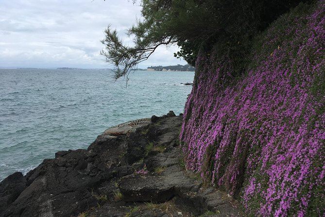 Devonport Volcanoes Afternoon Tour From Auckland - Inclusions