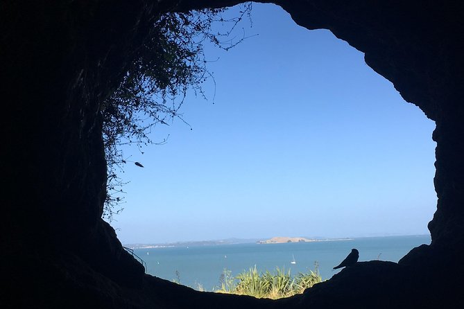 Devonport Volcanoes Afternoon Tour From Auckland - Customer Feedback