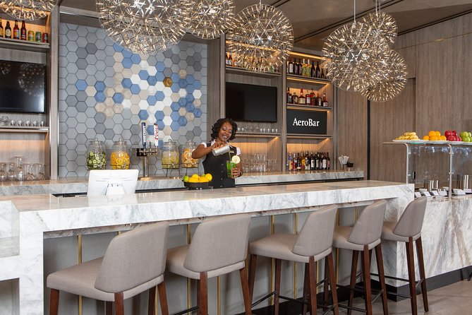 DFW Airport Plaza Premium Lounge at Terminal E - Amenities and Services