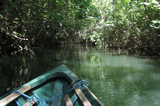 DG Tours - Full-Day Private Tour Experience - Traveler Reviews and Feedback