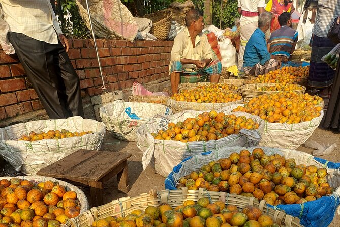 Dhaka Sightseeing - Traveler Feedback and Impressions