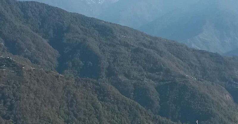Dhampus Australian Camp Trek - Accommodation and Meals