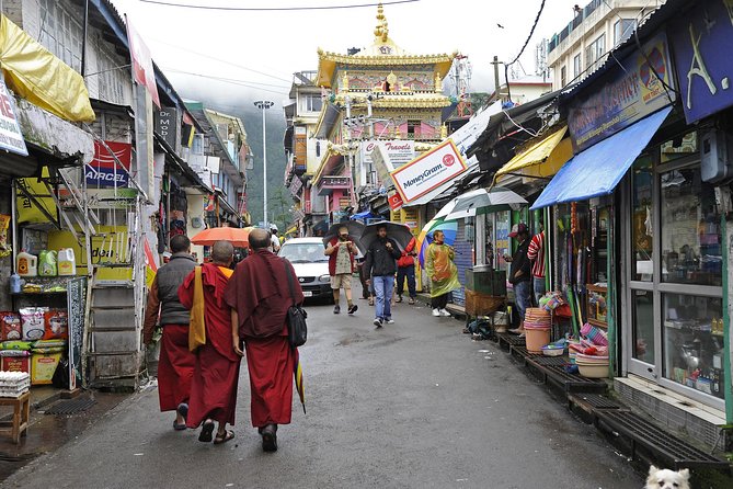 Dharamshala Mcleodganj 3 Nights/4 Days Tour From Delhi by Train - Inclusions and Exclusions