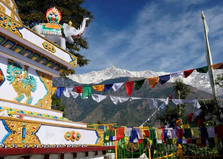 Dharamshala: Monasteries and Nunneries Guided Tour - Key Points