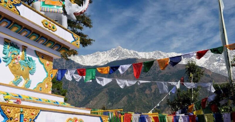 Dharamshala: Monasteries and Nunneries Guided Tour - Important Information