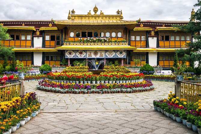 Dharamshala Sightseeing Tour - Panoramic Views and Scenic Landscapes
