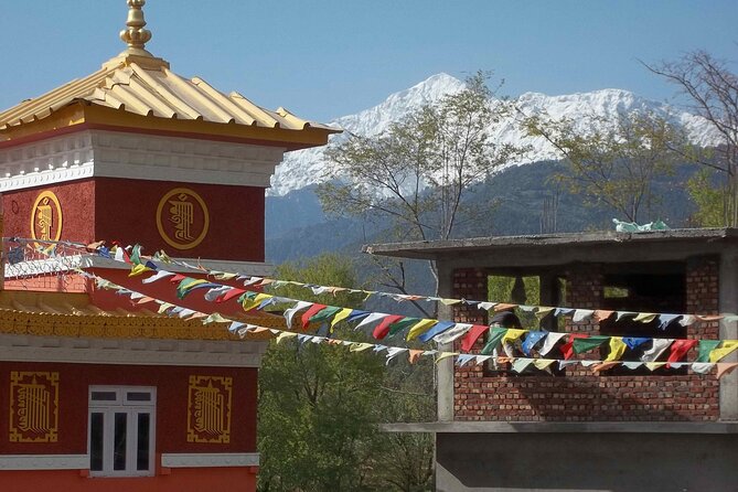 Dharamshala to Namgyal Monastery Tour Review - Preparation Tips