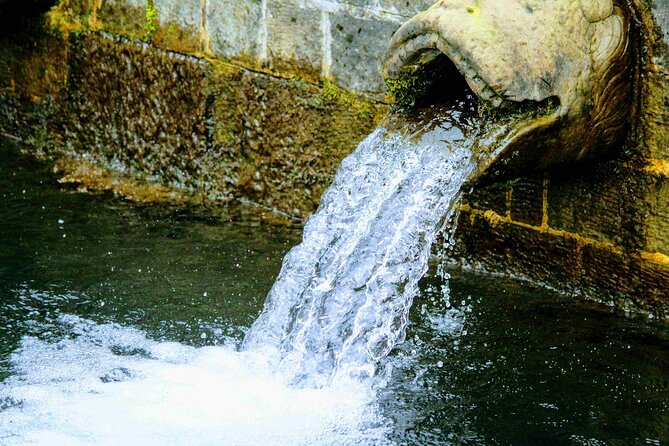 Dharamshala to Namgyal Monastery Tour Review - Monastery Etiquette