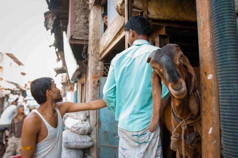 Dharavi Tour Including Car Transfer - Experience Highlights