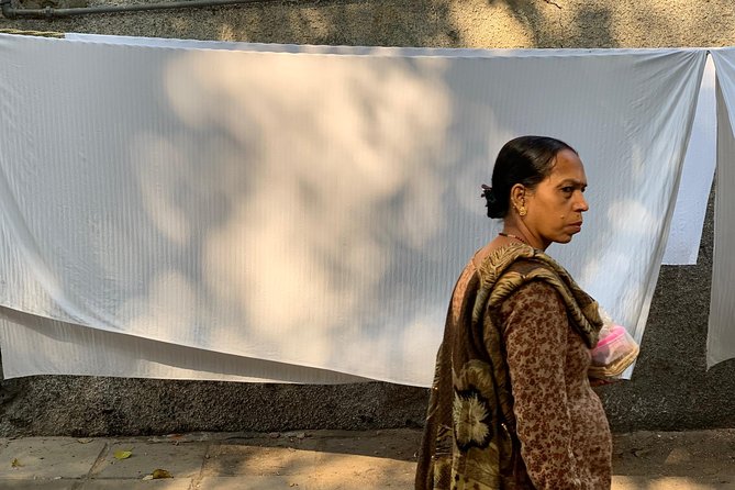 Dhobi Ghat, Ancient Stepwell and Lodhi Gardens Tour - Highlights of Dhobi Ghat