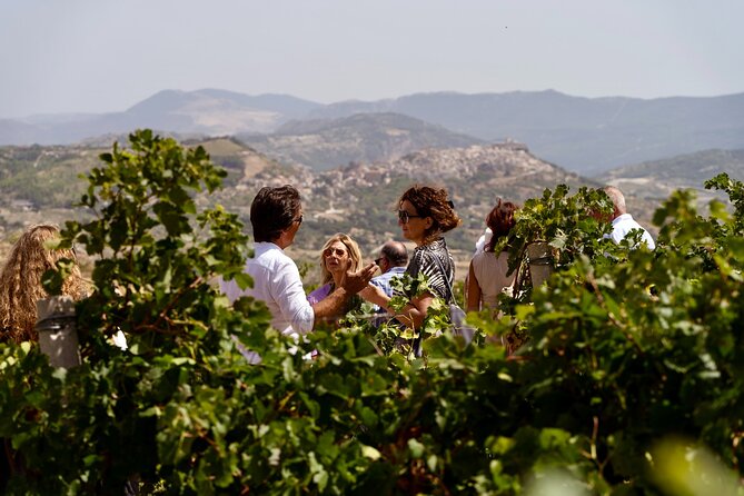 Di Giovanna Winery Tour & 3 Wine Tasting - Tour Details