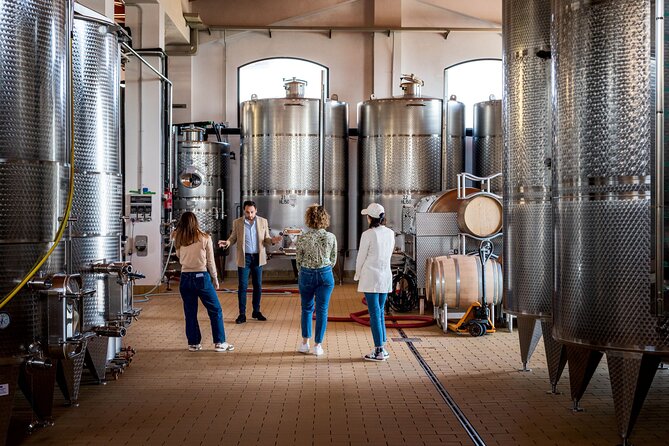 Di Giovanna Winery Tour & 3 Wine Tasting - Visitor Tips