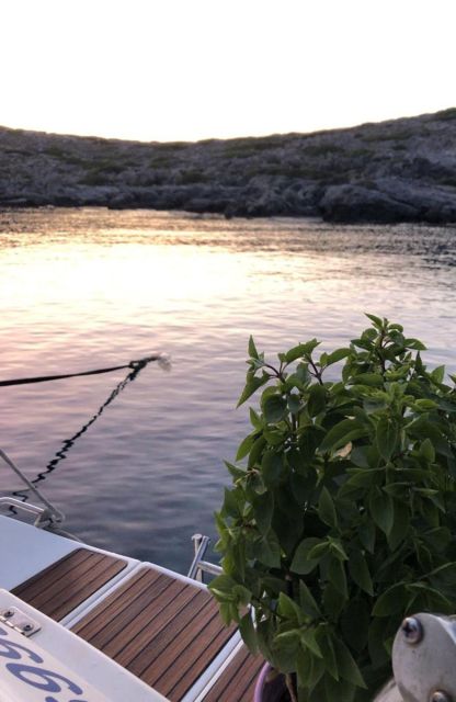 Dia Day Cruise - Yachting Day Cruise - Reserving the Cruise