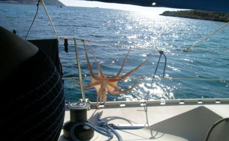 Dia Island: Private Full Day Sailing Cruise - Key Points