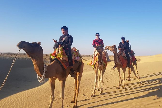 Diamond Camel Safari Private Tour(Overnight Camel Safari Non-Touristic Area) - Key Points