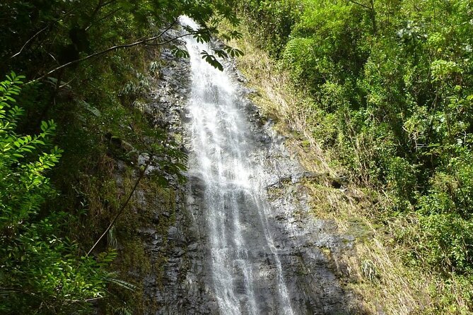 Diamond Head and Manoa Falls Hike and Adventure Tour - Preparing for the Hike