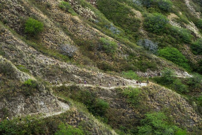 Diamond Head and Manoa Falls Hike and Adventure Tour - Feedback From Travelers