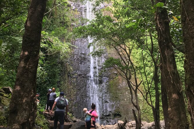 Diamond Head and Manoa Falls Self Guided Hiking Combination Tour - Tour Overview