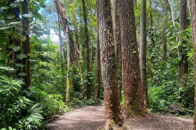 Diamond Head and Manoa Falls Self Guided Hiking Combination Tour - Booking and Confirmation