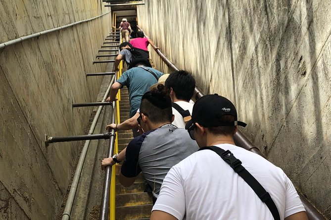 Diamond Head Bike to Hike and Local Lunch - Hiking to the Craters Summit