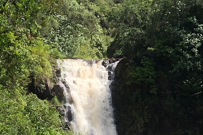 Diamond Head Crater Trail , Sightseeing & South Side Beach Day - Reviews & Feedback