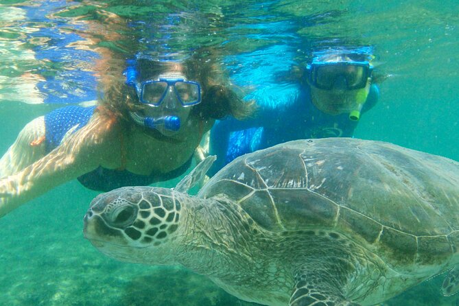 Diamond Head Hiking & Kailua Town & Kaneohe Snorkeling - Basic - Tour Confirmation and Booking