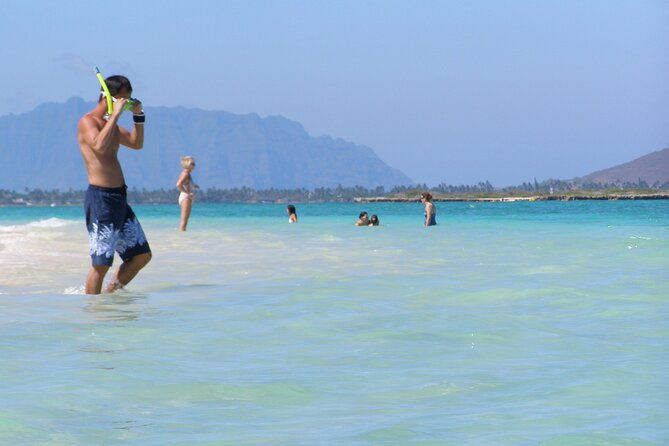 Diamond Head Hiking & Kailua Town & Kaneohe Snorkeling - Basic - Host Response