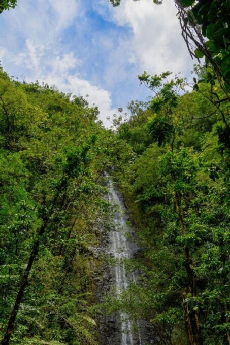 Diamond Head Manoa Falls - Pickup and Duration