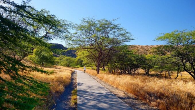 Diamond Head Manoa Falls - Frequently Asked Questions