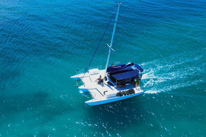 Diamond Head Sailing and Turtle Snorkeling Tour in Waikiki - Tour Highlights
