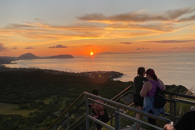 Diamond Head Shuttle With Malasada - Reviews Highlights
