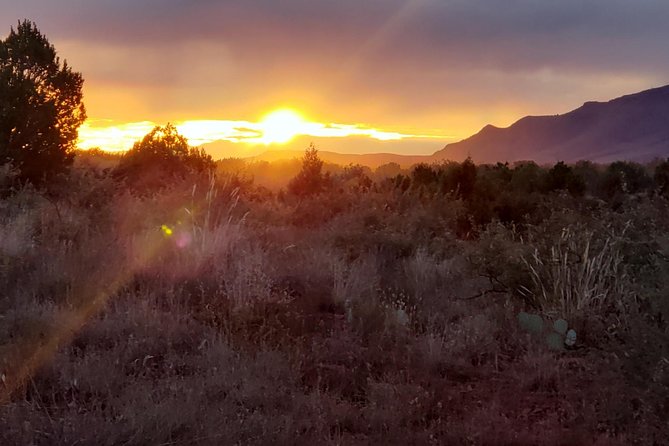 Diamondback Gulch 4x4 Open-Air Jeep Tour in Sedona - Wildlife and Natural Wonders