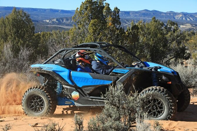 Dianas Throne UTV Adventure Near Zion National Park - Zion National Park Viewpoints