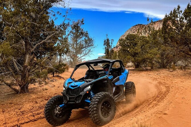 Dianas Throne UTV Adventure Near Zion National Park - Meeting and Pickup Location