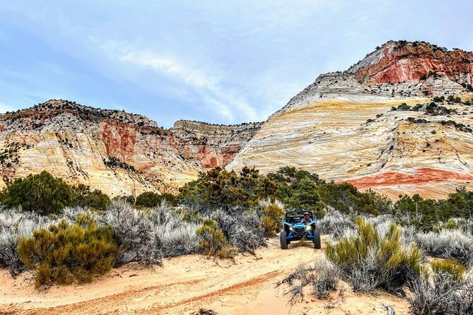Dianas Throne UTV Adventure Near Zion National Park - Activity Duration and Accessibility