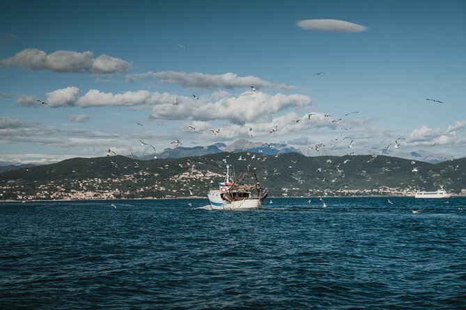 Didi Boat Tour With Davide-Explore the Island and Portovenere - Tour Overview
