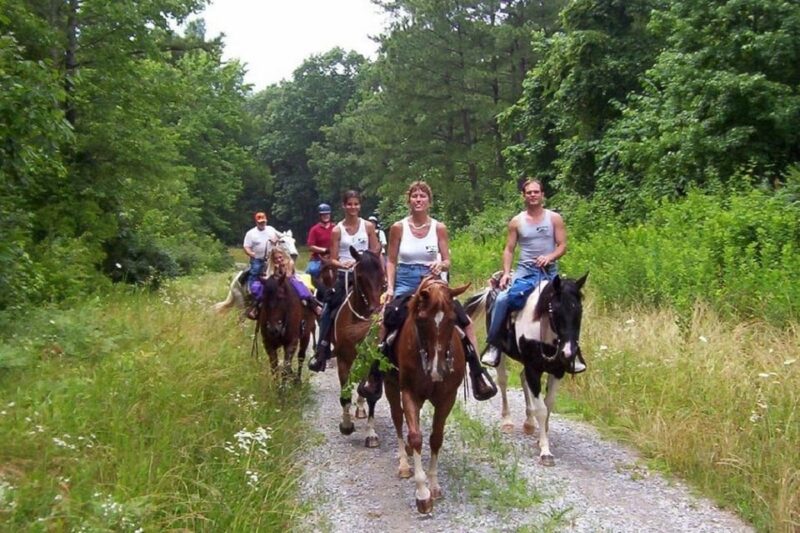 Didim Horse Safari - Safety and Accessibility