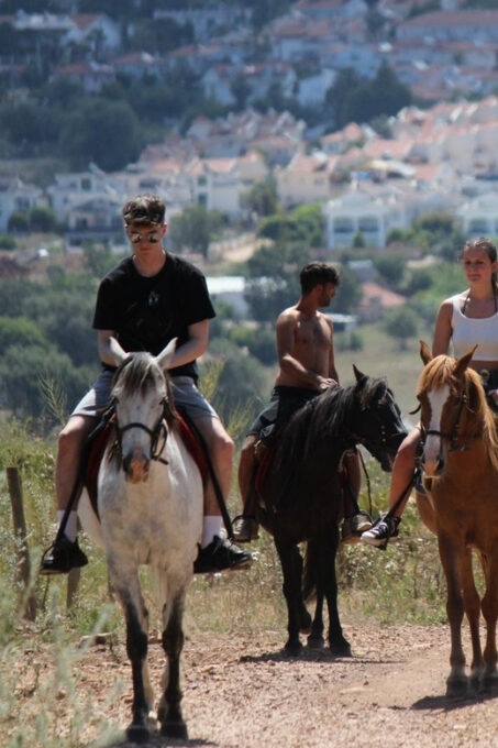 Didim Horse Safari - Additional Information
