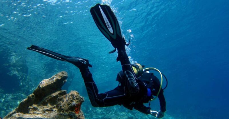 Didim: Scuba Diving Experience W/Hotel Pickup & Lunch - Itinerary Details