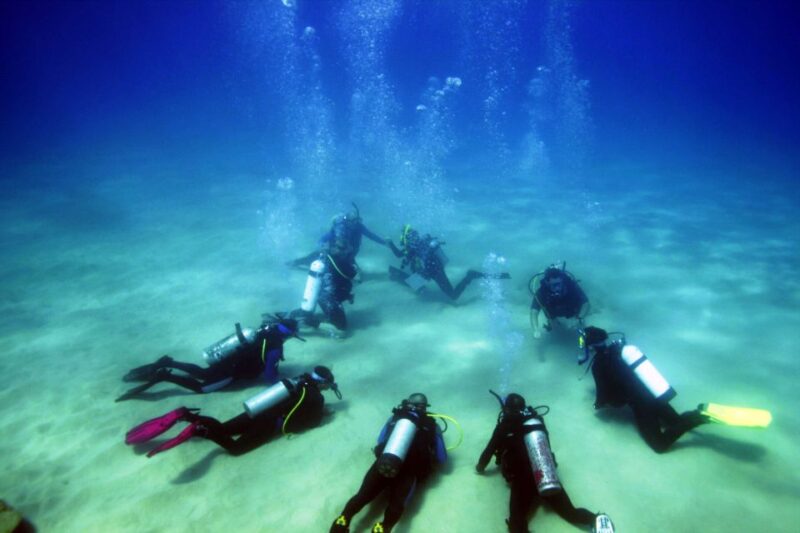 Didim: Scuba Diving Experience W/Hotel Pickup & Lunch - Participant Restrictions